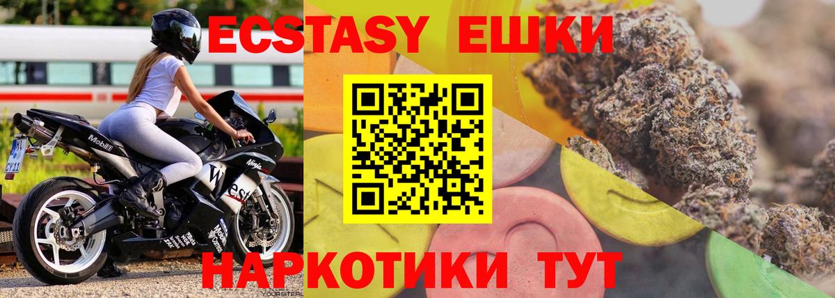 Ecstasy Philipp Plein Свободный