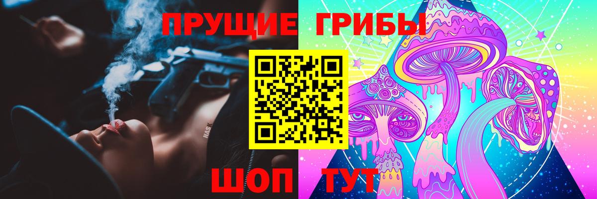 Псилоцибиновые грибы GOLDEN TEACHER Свободный